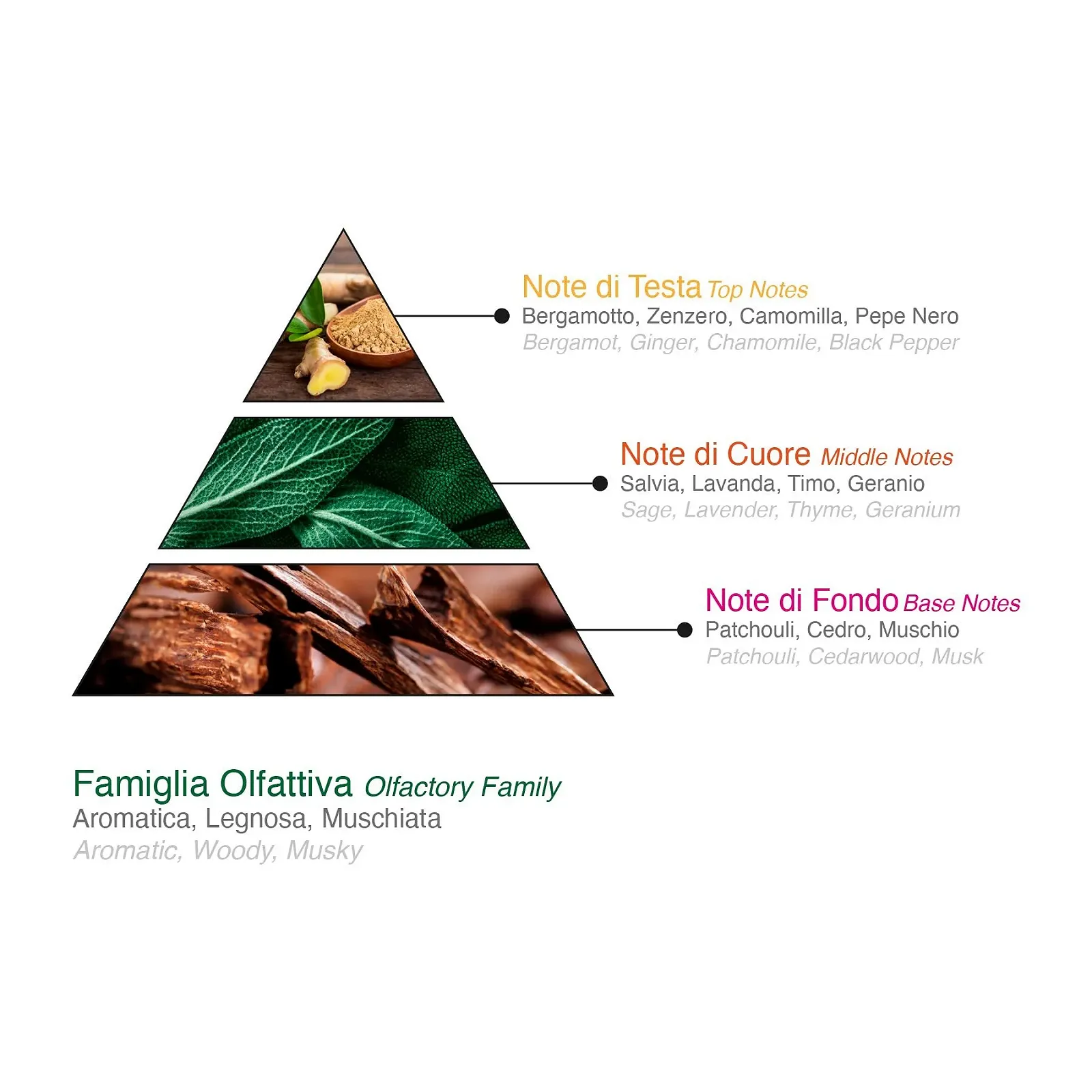 Парфюмированная вода Aqua Di Sorrento Posillipo Унисекс 100 мл, фото №5 Парфюмированная вода Aqua Di Sorrento Posillipo Унисекс 100 мл, фото №5