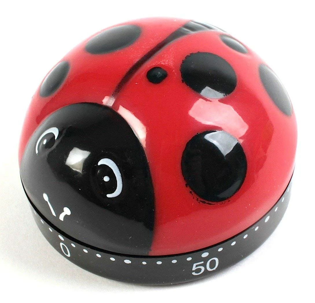 Кухонный таймер Kikkerland KT21-A Ladybug Божья коровка Разные цвета, фото №3 Кухонный таймер Kikkerland KT21-A Ladybug Божья коровка Разные цвета, фото №3