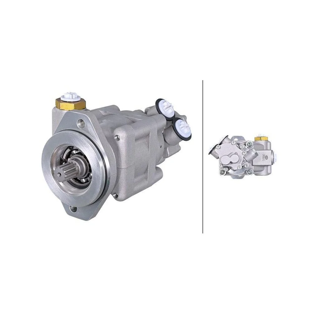 Насос гидроусилителя руля HELLA 8TL 359 004-091 для DAF, фото №1