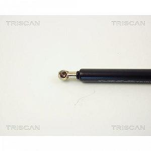 Амортизатор багажника TRISCAN 8710 1009 для AUDI synthetic.ua - Фото 1