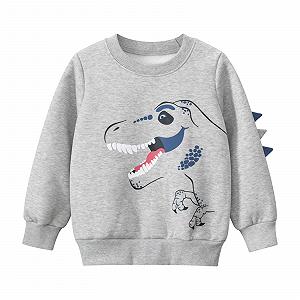 Худі Dino Print для хлопчиків з флісовою підкладкою, довгий рукав - Фото 1