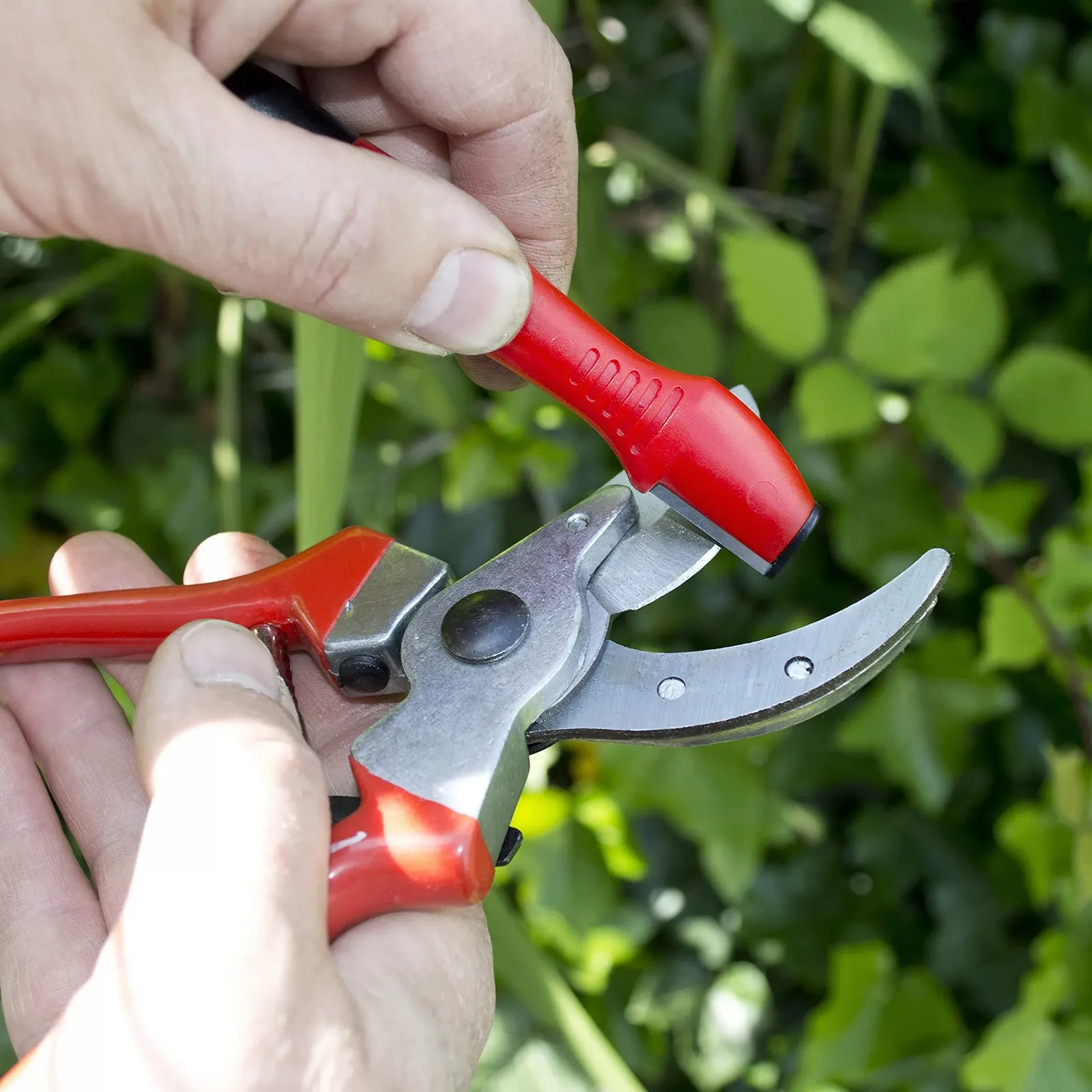 Точилка Amtech ручна прозора, фото №5 Точилка Amtech ручна прозора, фото №5