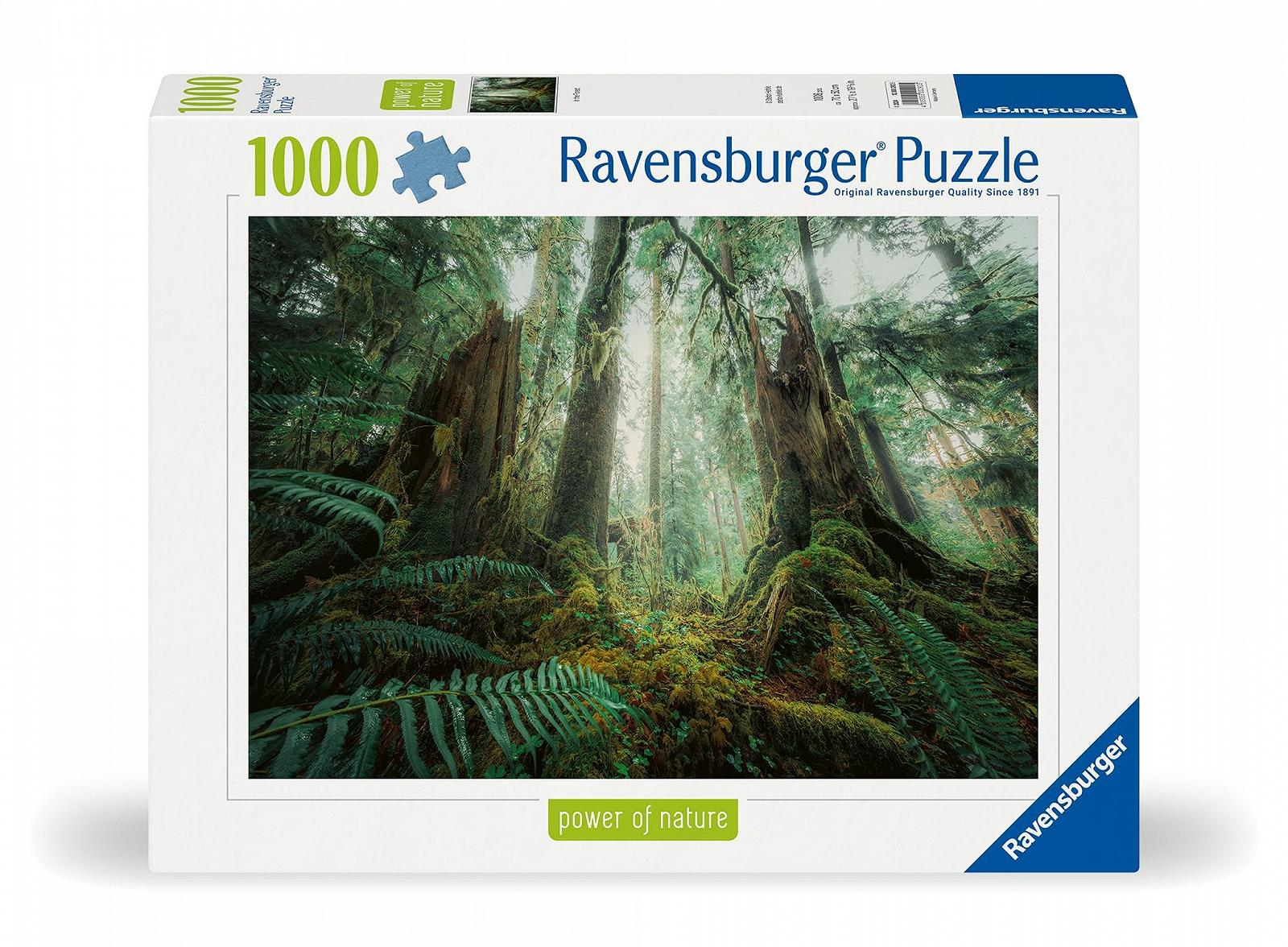 Пазл Ravensburger Nature Edition, Fascinating Forest 12000292 1000 елементів 14+ років Природа, фото №1