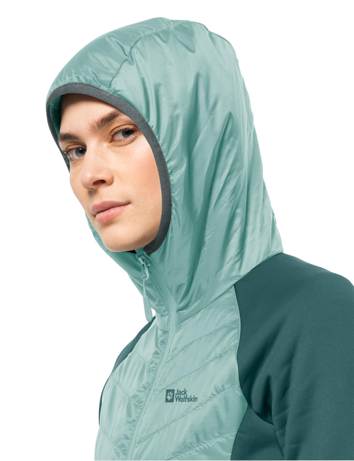 Софтшел Куртка Jack Wolfskin Routeburn Pro Hybrid W, фото №6