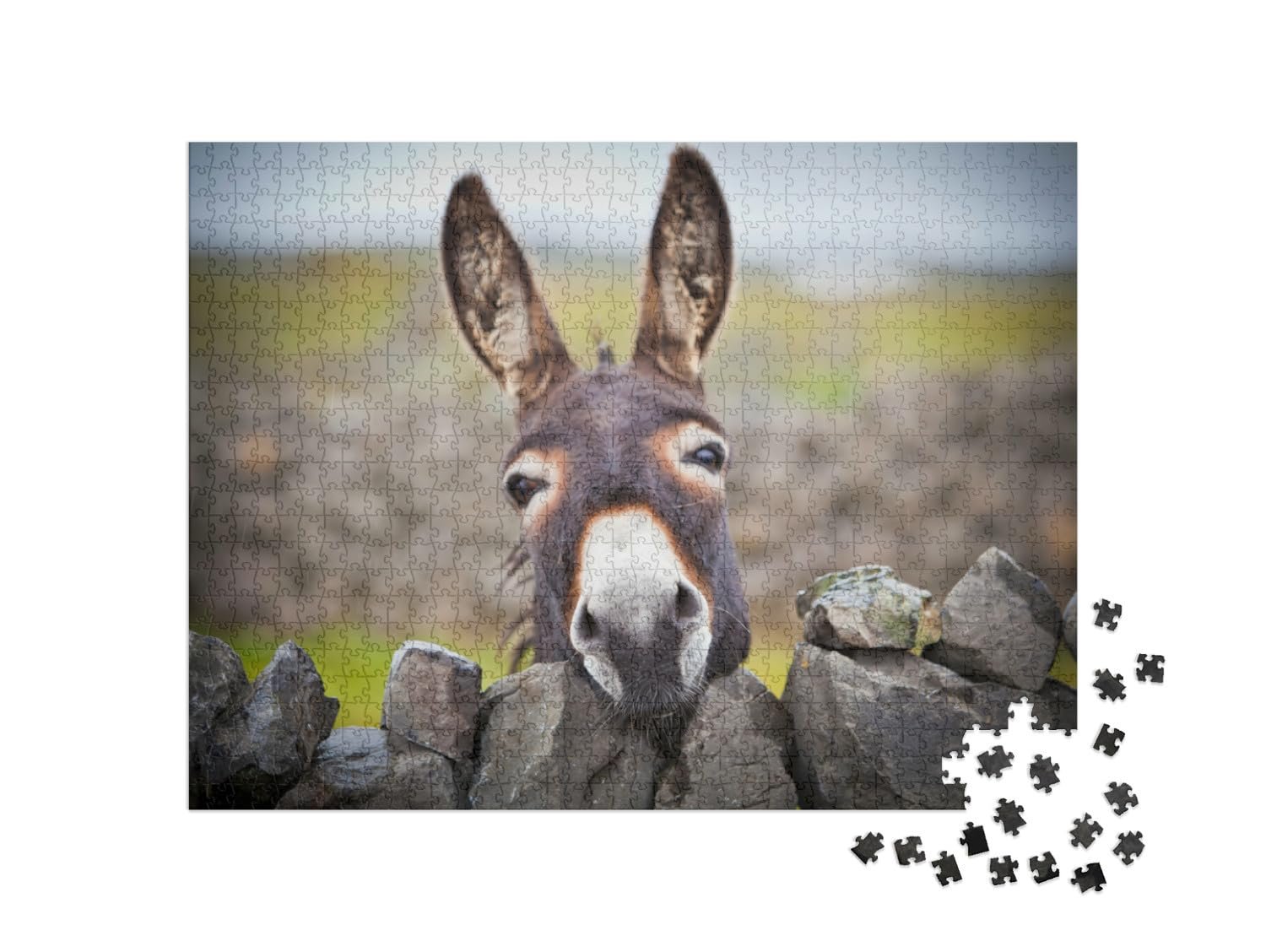 Пазл puzzleYOU Donkey Animals Puzzle Collection Любопытный ослик 1000 деталей, фото №2