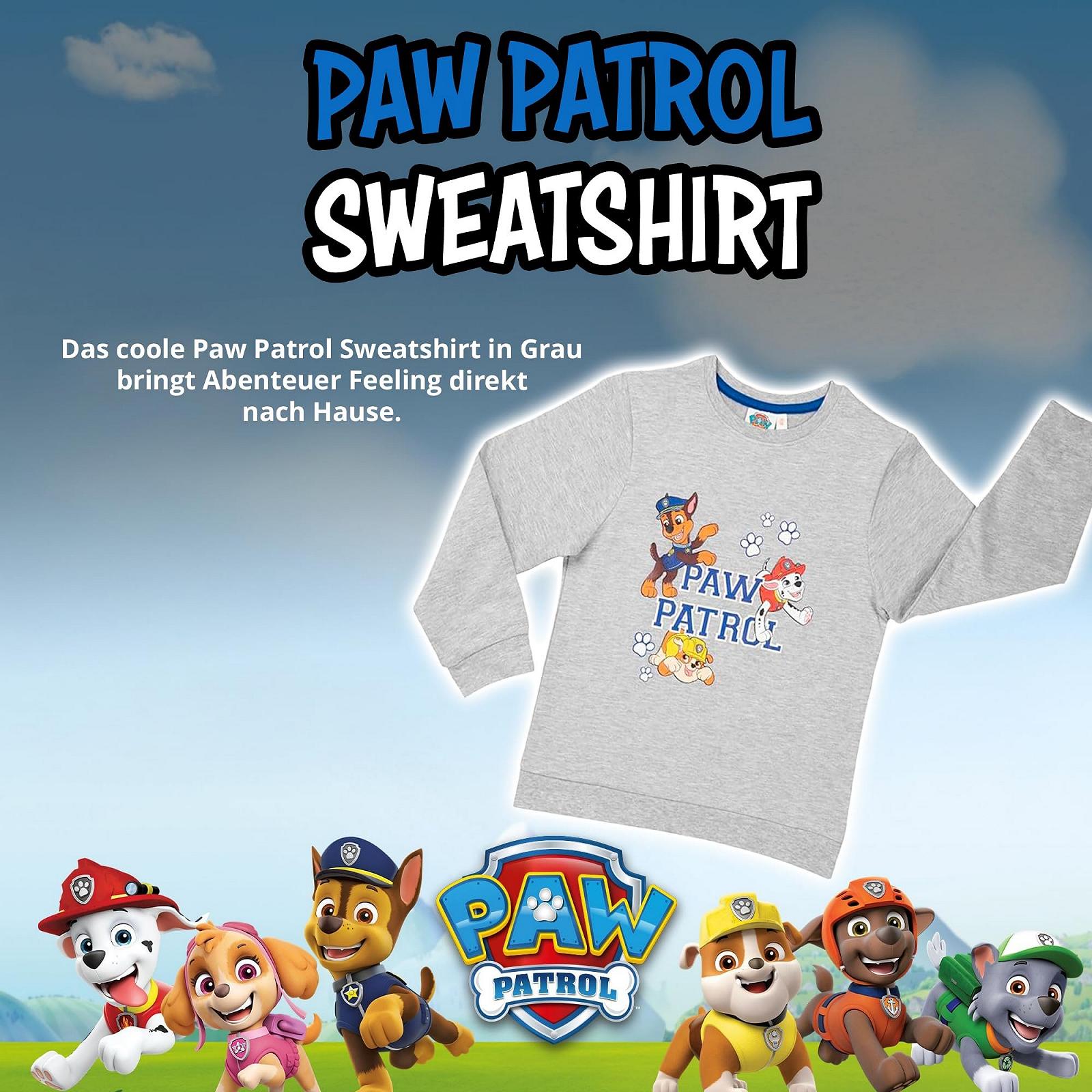 Джемпер United Labels Paw Patrol для хлопчиків - Дитячий світшот Сірий, фото №2