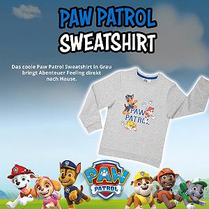 Джемпер United Labels Paw Patrol для хлопчиків - Дитячий світшот Сірий synthetic.ua - Фото 1