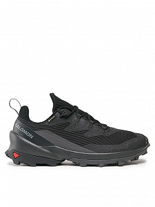 Черевики CROSS OVER 2 GTX L47269000 SALOMON 11 Чорний 43.5 synthetic.ua - Фото 1