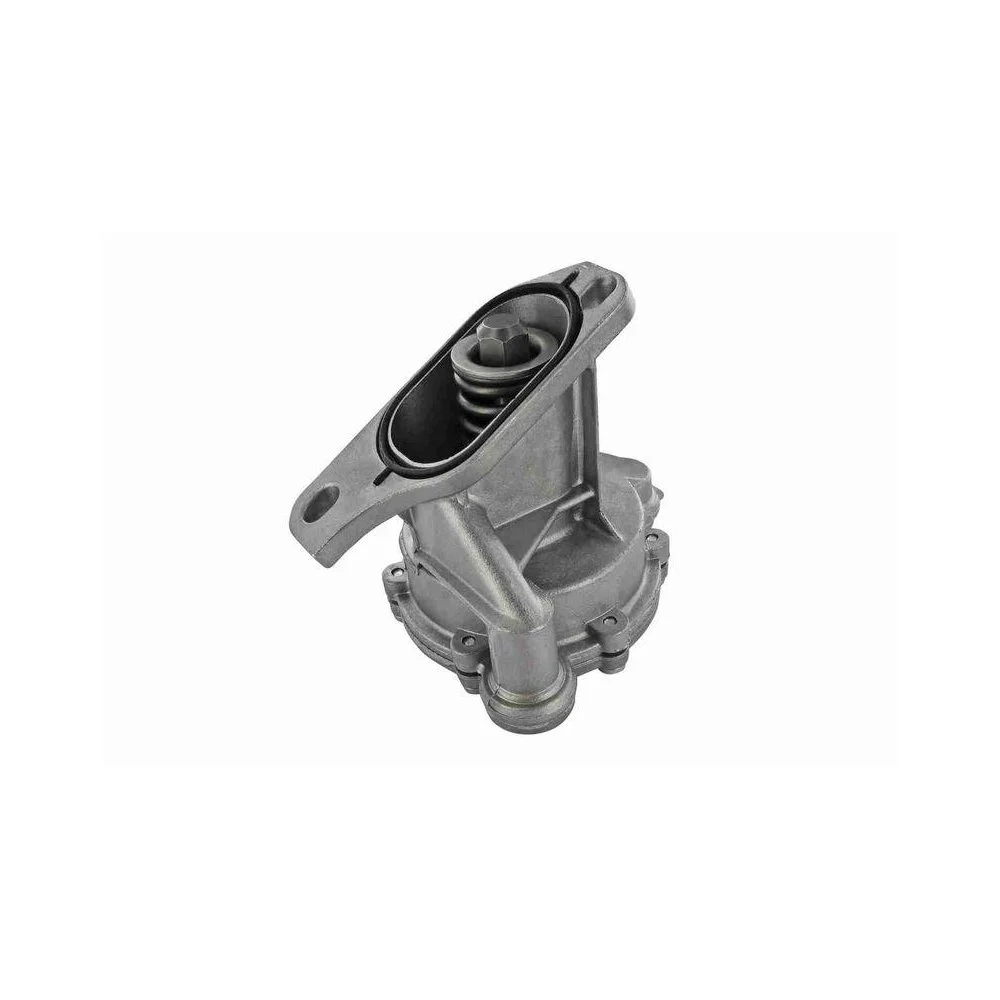 Вакуумна помпа гальмівної системи VAICO V10-0736 Original VAICO Quality для AUDI VW, фото №1 Вакуумна помпа гальмівної системи VAICO V10-0736 Original VAICO Quality для AUDI VW, фото №1