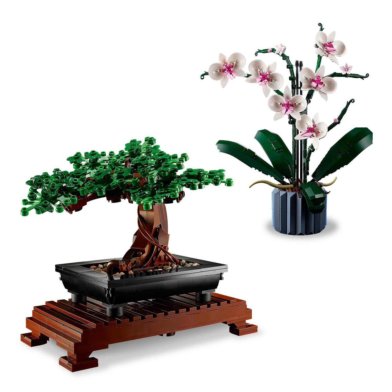 Набір LEGO Icons Botanical Collection 10281 Bonsai Tree та 10311 Orchid, фото №3 Набір LEGO Icons Botanical Collection 10281 Bonsai Tree та 10311 Orchid, фото №3