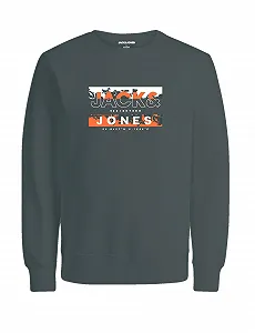 Толстовка JACK & JONES Jcokonta Sweat Crew Neck FST Jnr - Фото 1