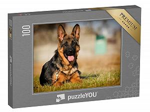Купить Пазл puzzleYOU Dog and Shepherd Puzzle Collection Щенок немецкой овчарки в возрасте пяти месяцев, лежащий в траве 100 деталей - Фото 1 Пазл puzzleYOU Dog and Shepherd Puzzle Collection Щенок немецкой овчарки в возрасте пяти месяцев, лежащий в траве 100 деталей - Фото 1