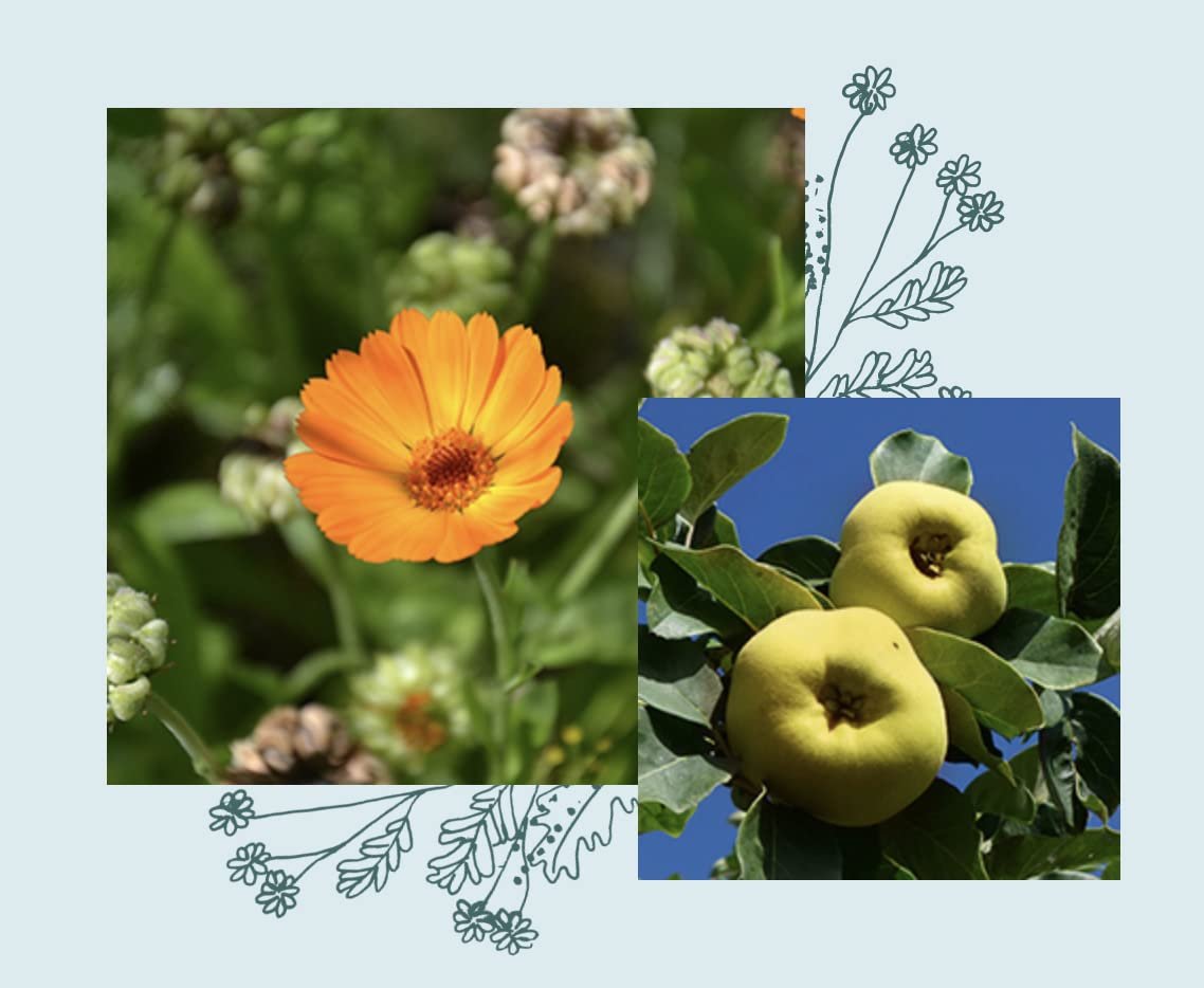 Твердий гель для душу Officina Naturae Biricco Органічний 50 г, фото №5