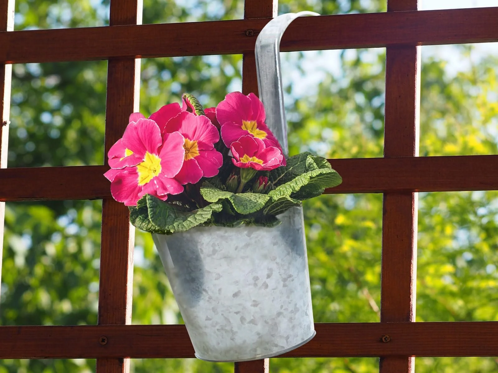 Набір підвісних балконних горщиків Spetebo 6 штук Сріблястий Цинк з гачками, фото №6 Набір підвісних балконних горщиків Spetebo 6 штук Сріблястий Цинк з гачками, фото №6