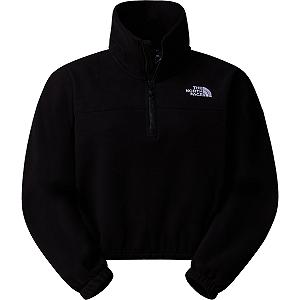 Флисовая кофта THE NORTH FACE W 100 Glacier Half Zip Женская - Фото 1