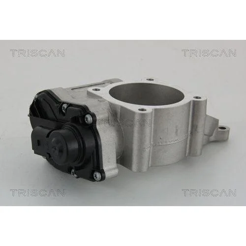 Клапан EGR TRISCAN 8813 29028 AUDI VW, фото №3