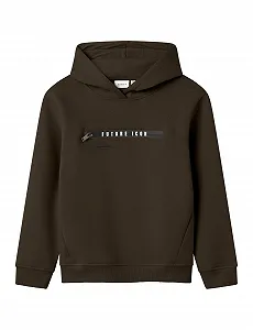 Толстовка NAME IT Nkmleonas LS Nreg Sweat Wh Bru - Фото 1