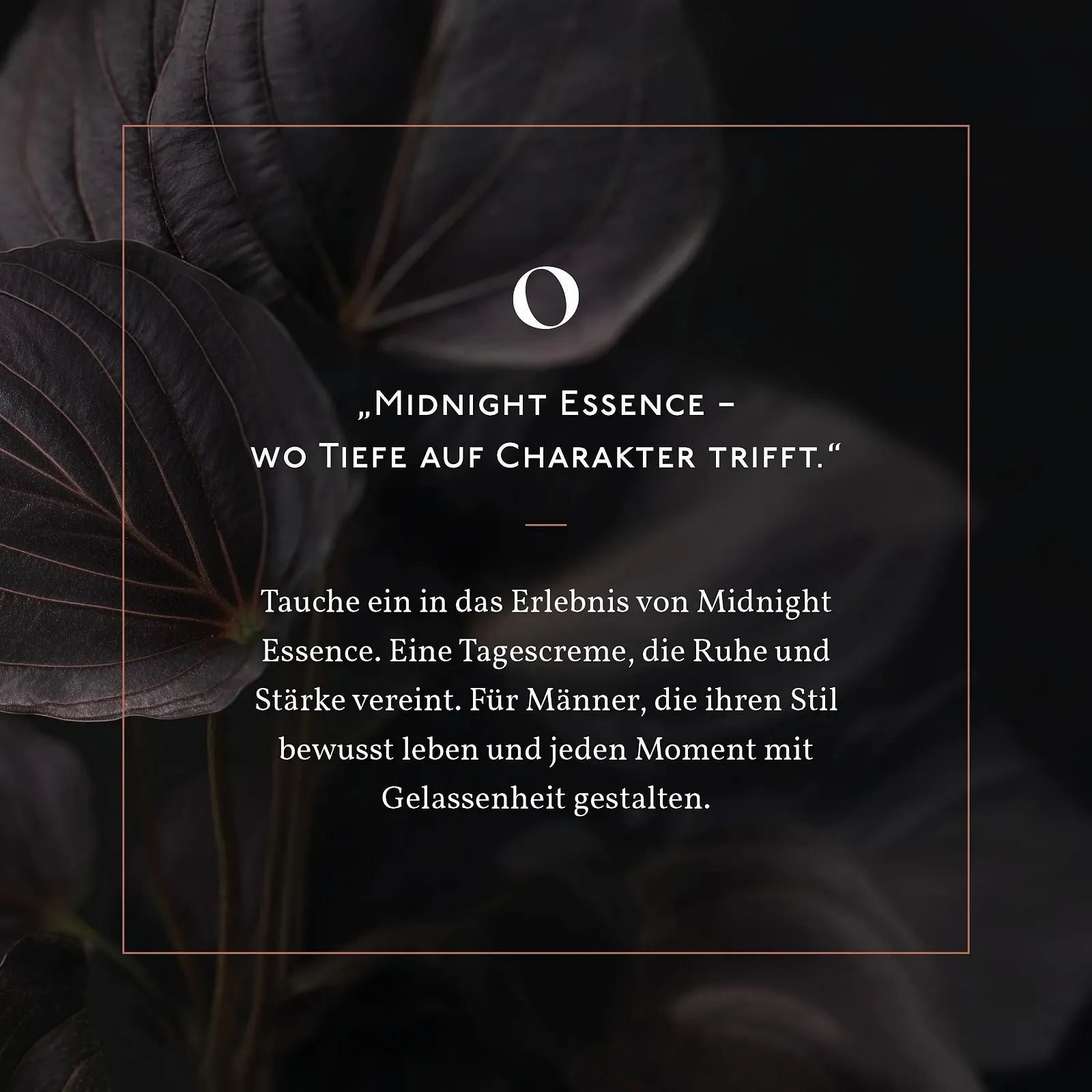Денний крем Gentleman's Choice Midnight Essence Гіалуронова кислота Для чутливої шкіри, фото №6 Денний крем Gentleman's Choice Midnight Essence Гіалуронова кислота Для чутливої шкіри, фото №6