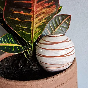 Система полива Ollas Lutton Olla Terracotta 40 кл Spirals белая synthetic.ua - Фото 1