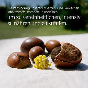 Сироватка-крем для рук L'OCCITANE EN PROVENCE Soin Jeunesse 75 мл synthetic.ua - Фото 1