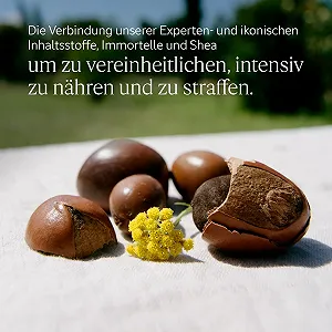 Сыворотка-крем для рук L'OCCITANE EN PROVENCE Soin Jeunesse 75 мл цена на synthetic.ua - Фото 1 Сыворотка-крем для рук L'OCCITANE EN PROVENCE Soin Jeunesse 75 мл synthetic.ua - Фото 1