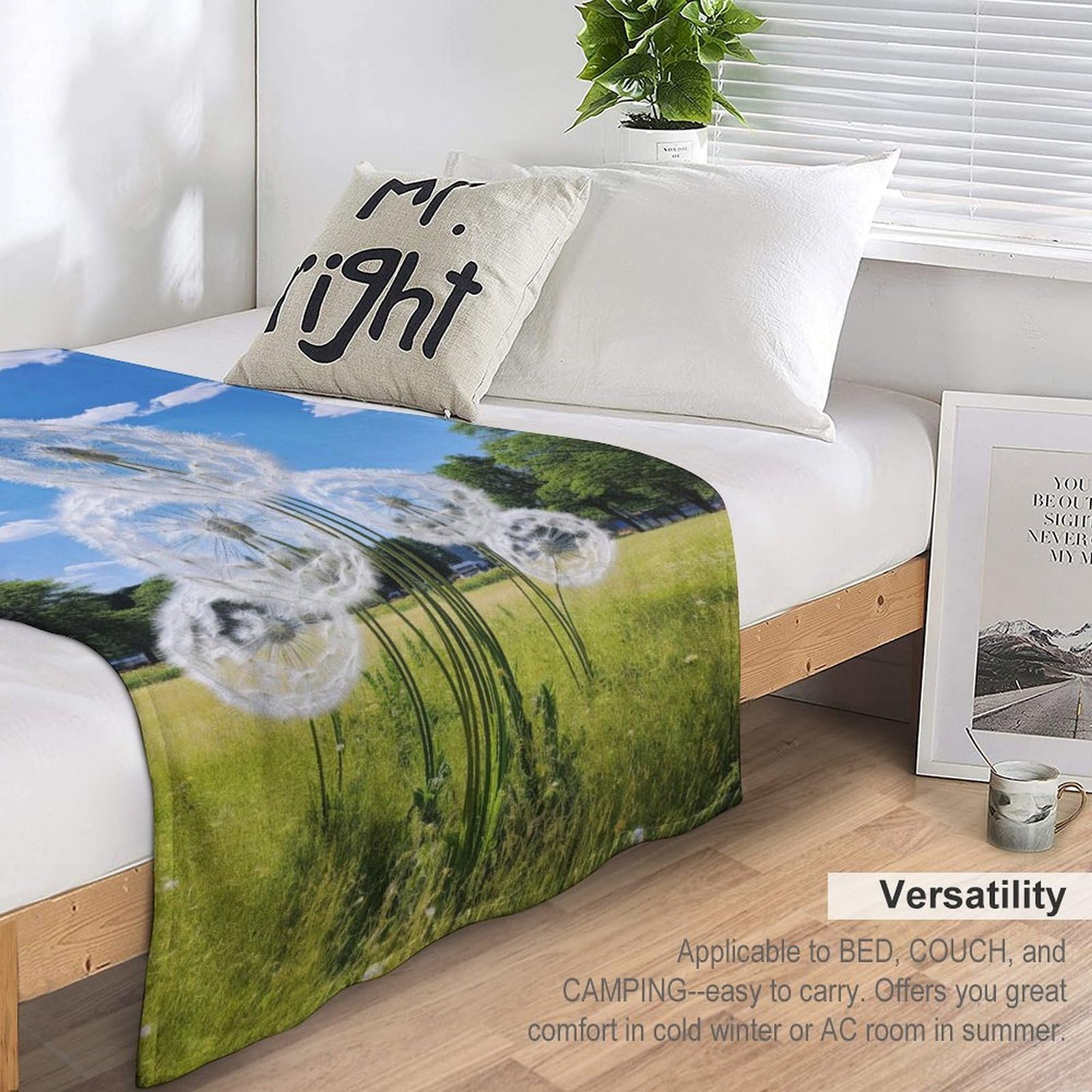 Покривало Фланель Фліс DandeLöwe 3D для дивану ліжка Пухнасте М'яке Тепле (130 x 180 см), фото №6 Покривало Фланель Фліс DandeLöwe 3D для дивану ліжка Пухнасте М'яке Тепле (130 x 180 см), фото №6