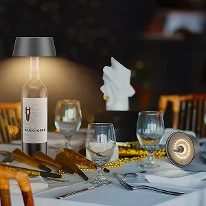 Настільна лампа Aipsun Dimmable LED Battery IP54 5000 mAh Metal Pack of 2 Anthracite synthetic.ua - Фото 1