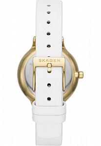 Часы Skagen Женские Аналоговые Кварцевые 89076854 Золотой цена на synthetic.ua - Фото 1 Часы Skagen Женские Аналоговые Кварцевые 89076854 Золотой synthetic.ua - Фото 1