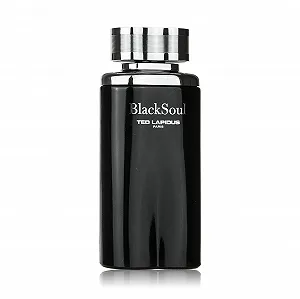 Туалетная вода Ted Lapidus Black Soul 101.2 мл - Фото 1