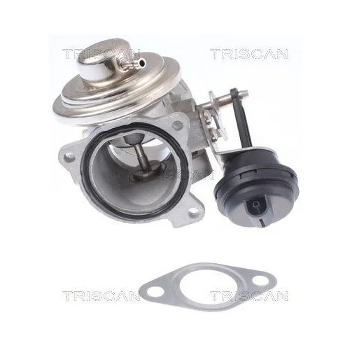 Клапан EGR TRISCAN 8813 29308 для VW, фото №4