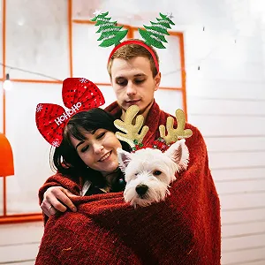 Набор рождественских обручей (6 штук). synthetic.ua - Фото 1