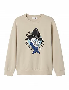 Толстовка NAME IT Nkmkandy LS Nreg Sweat Unb Box для хлопчиків - Фото 1