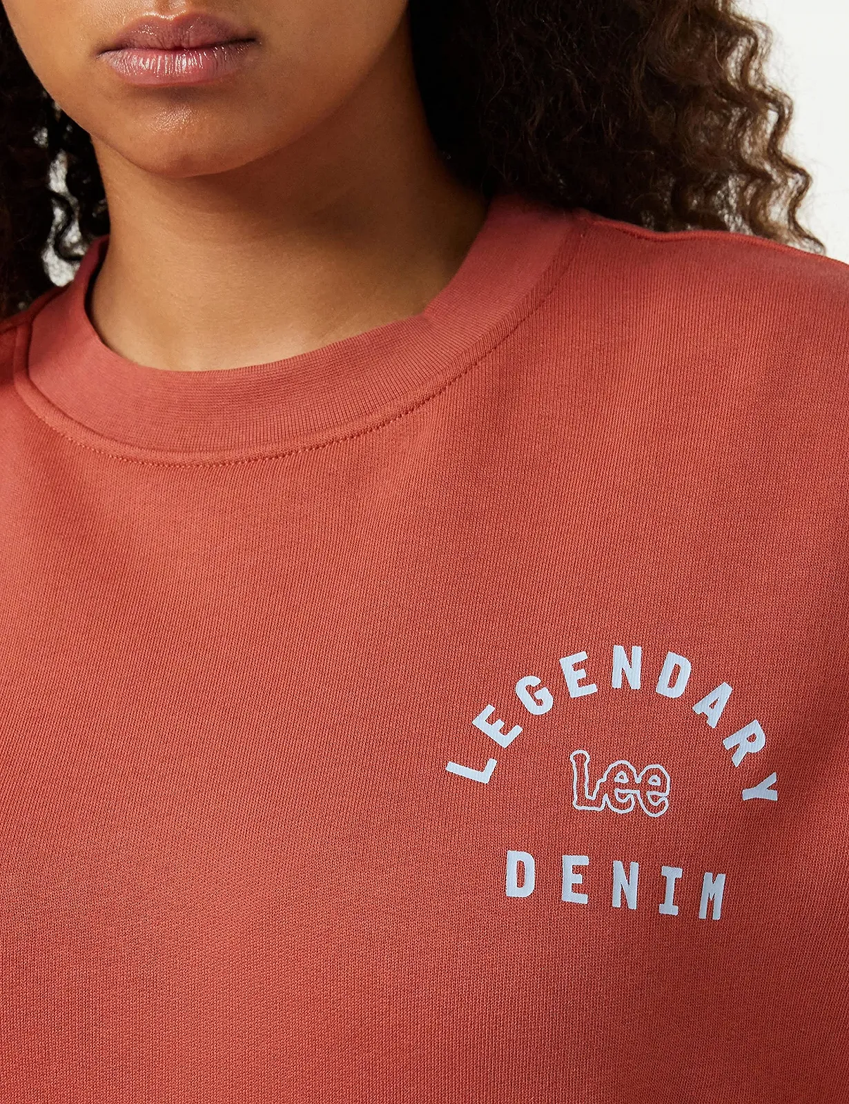 Женский свитшот Lee Legendary Denim Crew, фото №3