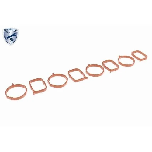 Впускний колектор VAICO EXPERT KITS + V10-6484 для AUDI SEAT SKODA VW VAG, фото №2