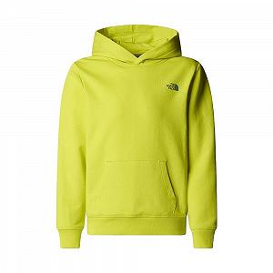 Худи The North Face B Graphic Relaxed для мальчиков (1 шт.) - Фото 1