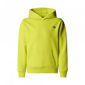 Худі The North Face B Graphic Relaxed для хлопчиків (1 шт.) - Фото 1