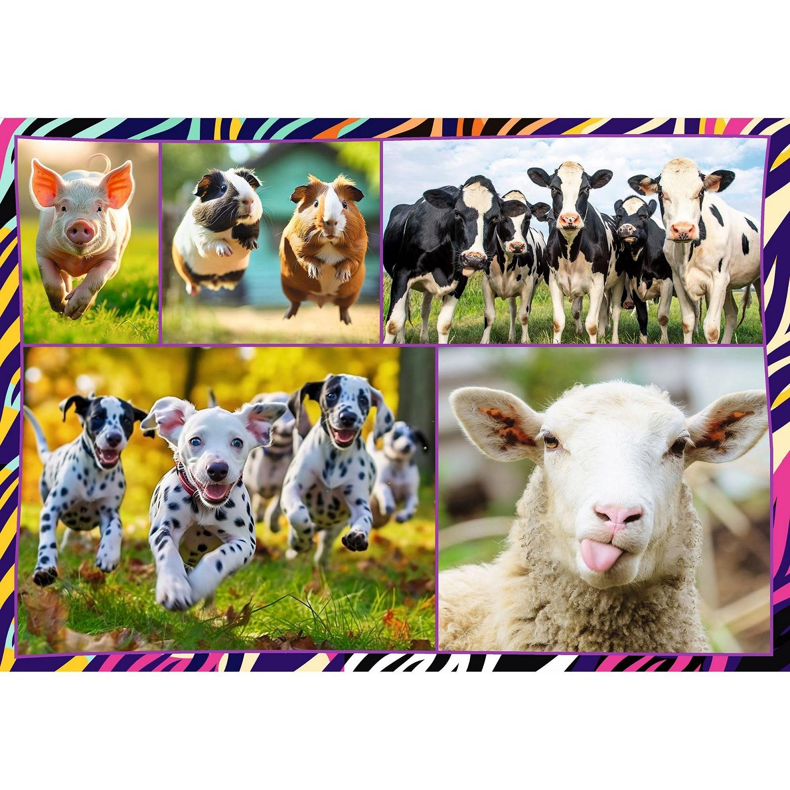 Пазл Trefl Funny Animals 4 x 250 елементів, фото №6