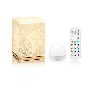 Настільна лампа Omniance Delphine LED Акумуляторна Бездротова з пультом ДК 1 лампа 1 джерело світла synthetic.ua - Фото 1