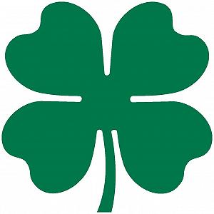 Наклейка на стіну Four Leaf Clover Good Luck - Фото 1