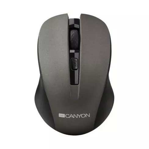 Мышка CANYON MW-1 Wireless Gray (CNE-CMSW1G), фото №1