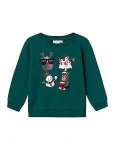 Толстовка NAME IT Nmmrsanta Nreg Sweat Bru Box для хлопчиків - Фото 1