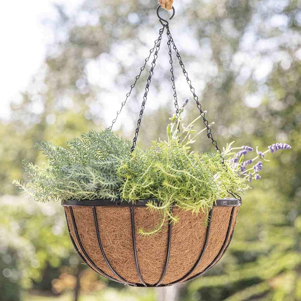 Підвісний кошик Siena Garden Кований з кокосовою вставкою Чорний 35 см, фото №2 Підвісний кошик Siena Garden Кований з кокосовою вставкою Чорний 35 см, фото №2