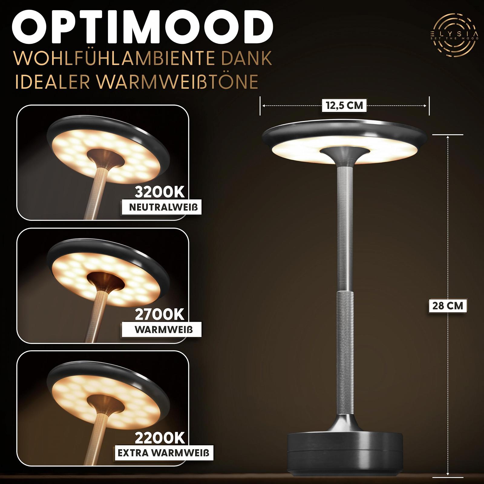 Настільна лампа ELYSIA LED Battery Dimmable USB-C IP54 Срібляста, фото №3