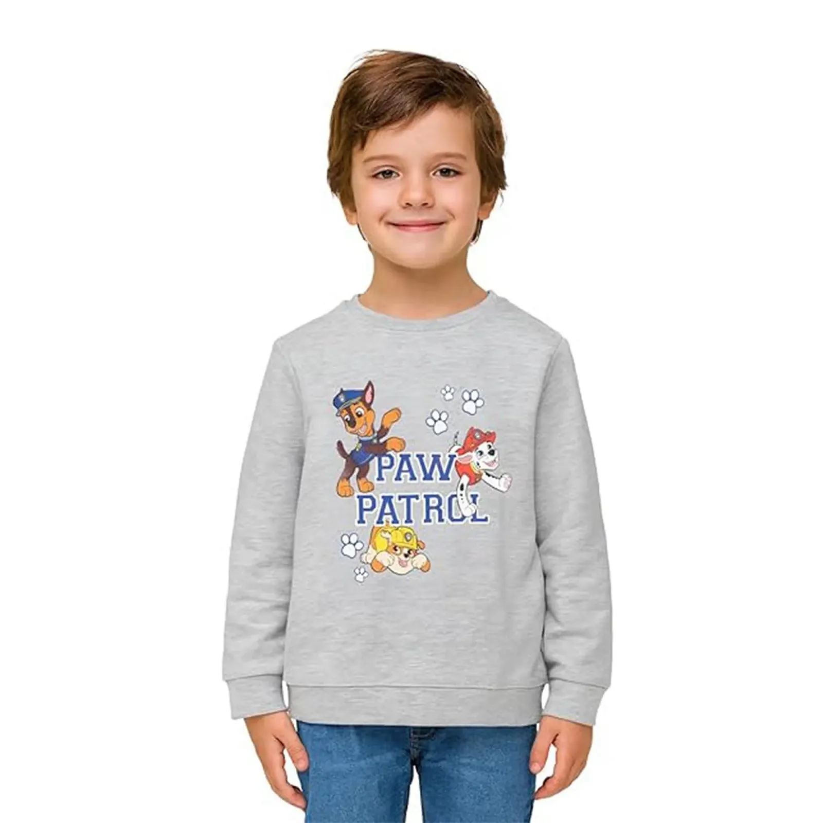 Джемпер United Labels Paw Patrol для хлопчиків - Дитячий світшот Сірий, фото №1