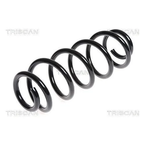 Пружина підвіски TRISCAN 8750 1041 для FIAT SUZUKI, задній міст, фото №2