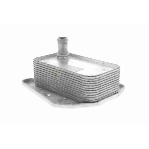Масляный радиатор двигателя VEMO V30-60-1323 оригинальное качество VEMO для MERCEDES-BENZ, фото №3 Масляный радиатор двигателя VEMO V30-60-1323 оригинальное качество VEMO для MERCEDES-BENZ, фото №3