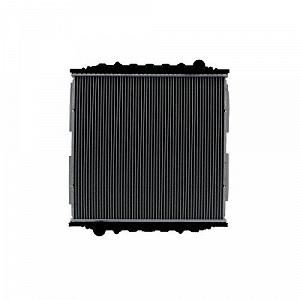 Радиатор, охлаждение двигателя HELLA 8MK 366 300-711 для MAN synthetic.ua - Фото 1