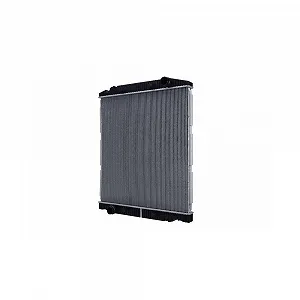 Радиатор охлаждения двигателя HELLA 8MK 366 302-271 для IVECO - Фото 1