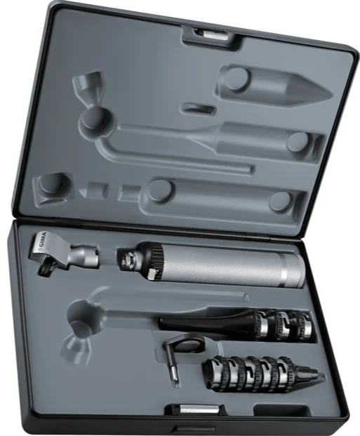 Ветеринарный отоскоп GIMA 31422 / Ксенон-Галоген / 2x Увеличение / 8 Автоклавных Спекулов / Серебристый, фото №1 Ветеринарный отоскоп GIMA 31422 / Ксенон-Галоген / 2x Увеличение / 8 Автоклавных Спекулов / Серебристый, фото №1