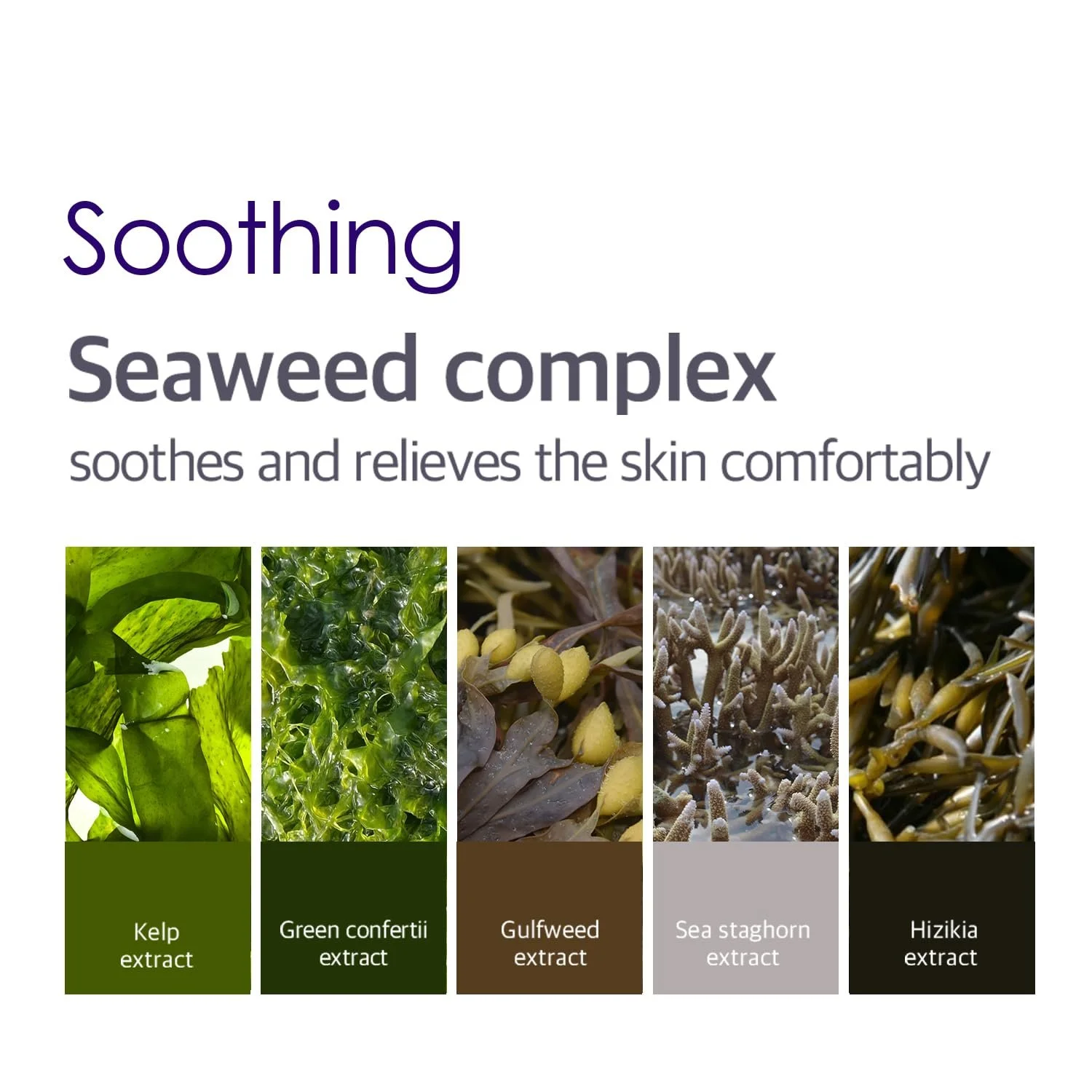 Гідрогелева маска для обличчя Petitfee Agave Cooling (5), фото №6